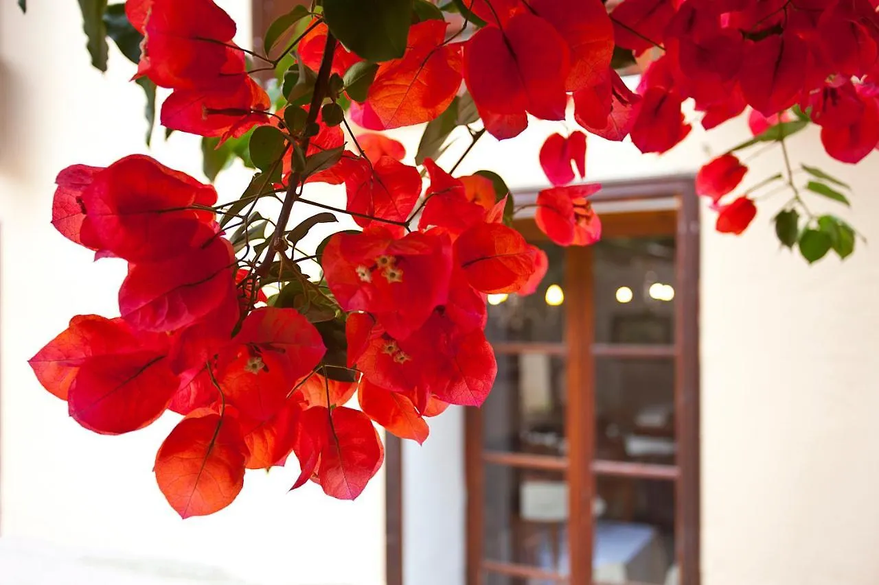 Dalt Murada - Turismo De Interior Palma de Mallorca Hotel